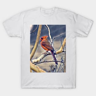 Northern Cardinal T-Shirt